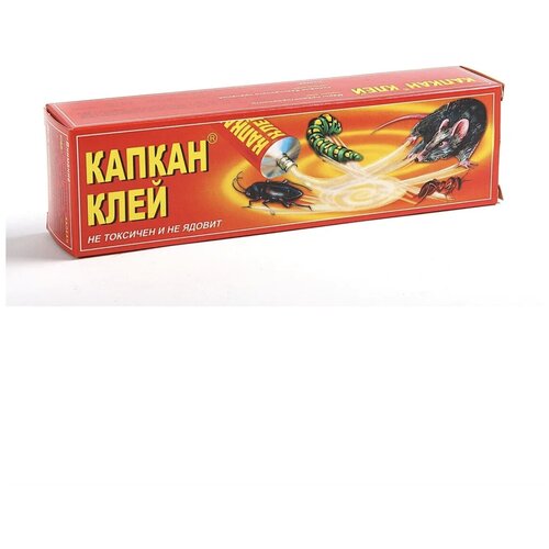 ���� ���� �� �������� 135�. �� �������� � �� ������, ������ �� 195 ���