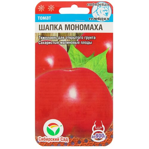 ���� ������ ��������� ��� ����� ����� �������� 20 ��., ������ �� 55 ���