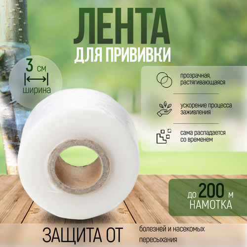 ���� ����� ����������� ������� ��� ��������, ������, ��������, 200 �, ������ �� 213 ���