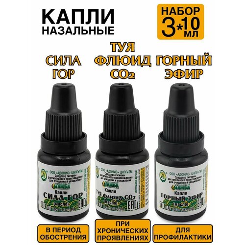 ���� ����� � ��� �� ������������ ����������� 