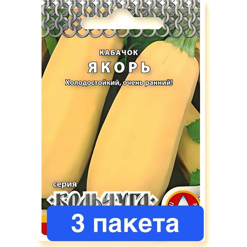 ���� ������ ������ ������� ������ 