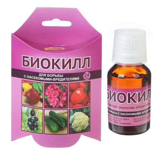 ���� �������� �� ���������� 