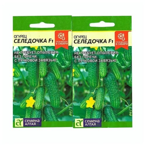 ���� ������ ������ ��������� (������ �����), 2 �������� �� 5 �� �����, ������ �� 380 ���