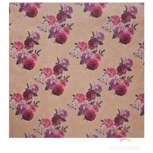 ���� ������ ����������� ������ ������� ��������� ���, 70 � 100 ��, �������, ������ �� 499 ���