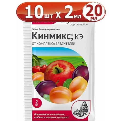 ���� 20�� ������� 2�� � 10�� ������ Avgust, ������ �� 647 ���