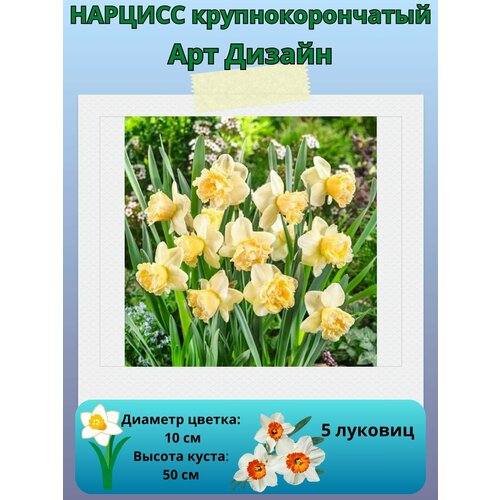 ���� ������� ��� ������, ����������� �����, �������� ��� ������� 5 ��, ������ �� 450 ���