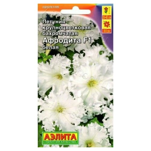 ���� ������� ��������������� �������� ����� F1 ( 3 �������� ) , ������, ������ �� 629 ���