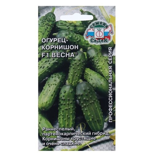 ���� ������ ����� ���������������� ����� ������-�������� ����� F1 0,2 �, ������ �� 64 ���