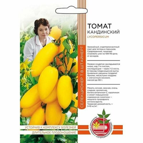 ���� ������ ����� ����������, ������������, ������������, 20�� ��������, ������ �� 53 ���