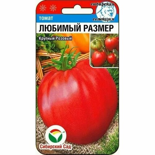 ���� ������ ����� ������� ������ (������������) ��. (��������� ���) 20��, ������ �� 160 ���