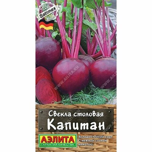 ���� ������ ������ ������� ��������, ������������, (������) 2�, ������ �� 54 ���