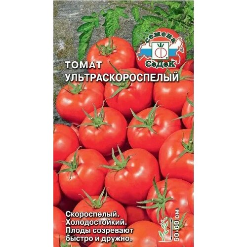 ���� ������ ����� ����������������� 