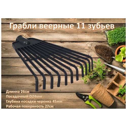 ���� ������ ������� (11 ������), ������ �� 269 ���