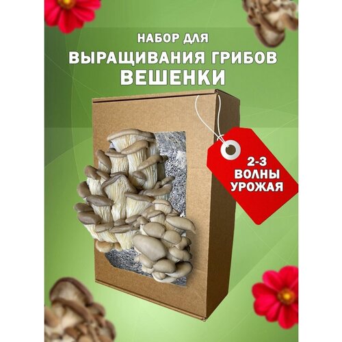 ���� �������� ������� ����� ��� ����������� ����, ������ �� 500 ���