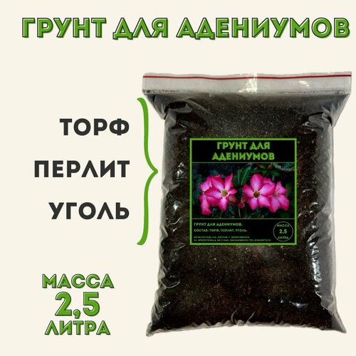 ���� ����� ��� ���������, ������ �� 550 ���