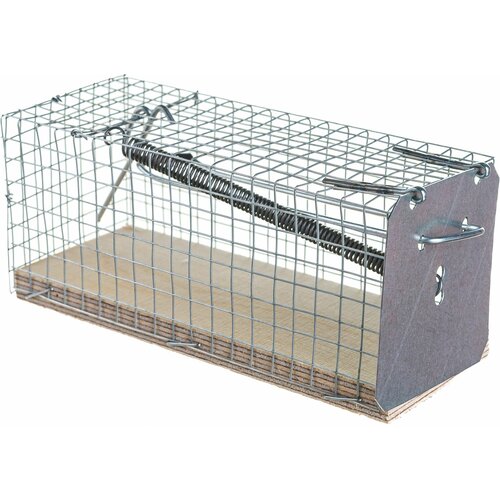 ���� ���������-������, ������ 12,4 � 5 � 5,5 ��, �� ������������ ����� � ���������� ����������. ��� ������ �������� � ��������, ������������� ����������, ������ �� 759 ���