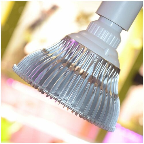 ���� ��������� ������������ �27 12 watt ������� ������� 5000k + 660nm, ������ �� 2219 ���