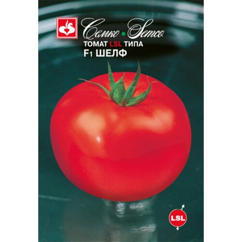 ���� ������ ����� ���� F1 12�� ��� (�����), ������ �� 105 ���