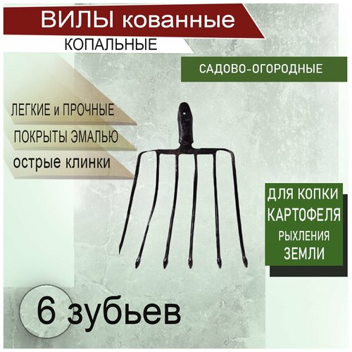 ���� ���� 6 �������� ���������� ��������� ��� ����� ��������� ����������� �������� ������ ������, ������ �� 1321 ���