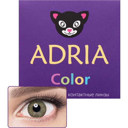    ADRIA Color 3 tone, 2 ., R 8,6, D -6, green, 1 .   -     , -, 