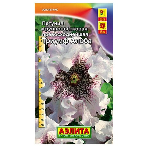 ���� ������ ��������� ������ ������� ������ ����� ��������������� 10 ��. (����� � ��������), ������ �� 632 ���