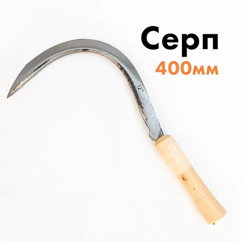 ���� ���� ������� 400�� � ���������� ������, ������ �� 559 ���