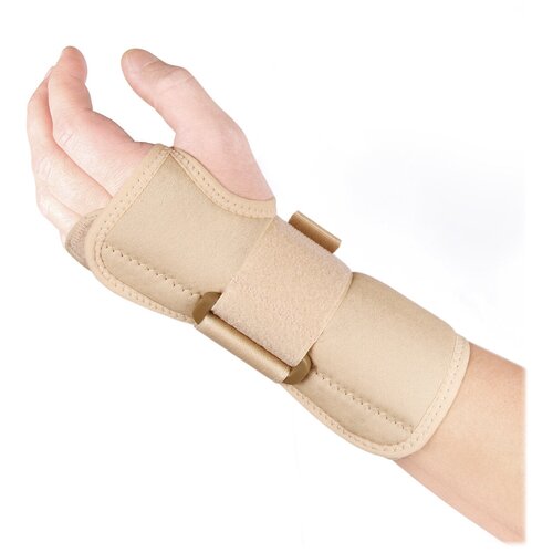 ���� ������ �� ������������� ������ ��� �������� �������� ������ WS-LT, ������ XL, ������ �� 2850 ���