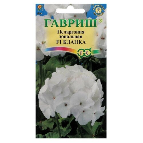 ���� ������ ������ ���������� 