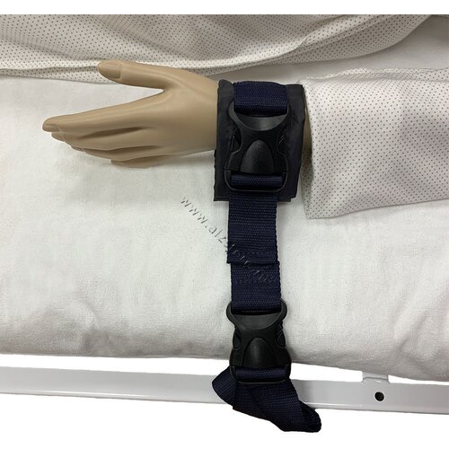 ���� ������ ������-�������� ��� ����, ������ �� 1460 ���