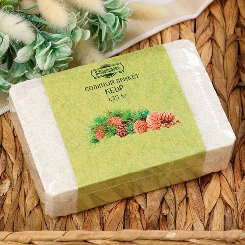 ���� ������� ������ 