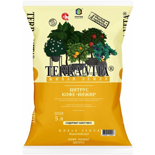 ���� ����� ����� ������-����-����� 5 �, ������ �� 359 ���