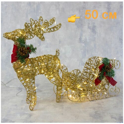 ���� ������ 