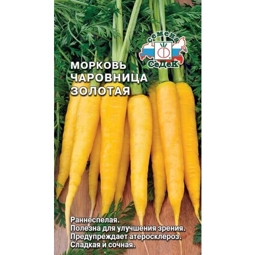 ���� ������ ������� ��������� ������� ����������� 0,1 �, ������ �� 231 ���