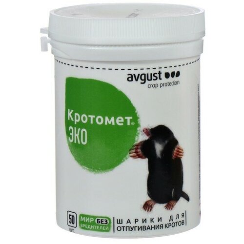 ���� ������ ������ �� ������ 