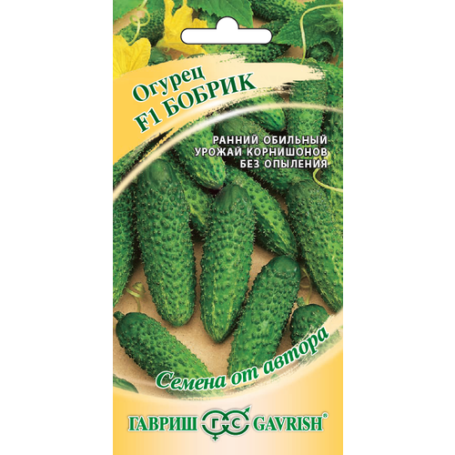 ���� ������ ������ ������ F1 �������� 10�� ������������������ ������ (������), ������ �� 60 ���