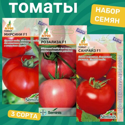 ���� ����� ����� ������� / �������, ��������, �������, ������ �� 349 ���