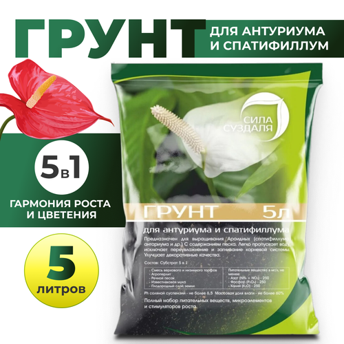 ���� ����. ����� ��� ���������, ������������, ������������� ���� �������/ ����� ��� ��������� ������, 5 �, ������ �� 520 ���