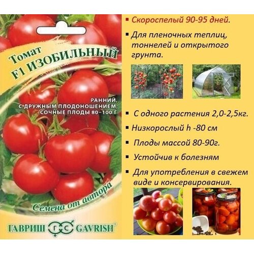 ���� ����� ���������� F1, 0,3�, ������, ������ �� ������, ������ �� 51 ���