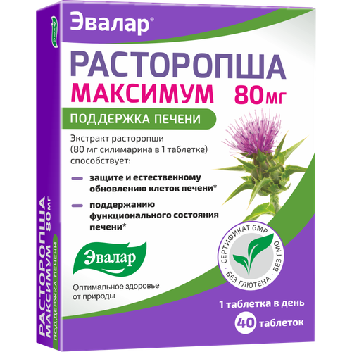 ���� ���������� �������� ���., 40 ��., ������ �� 738 ���