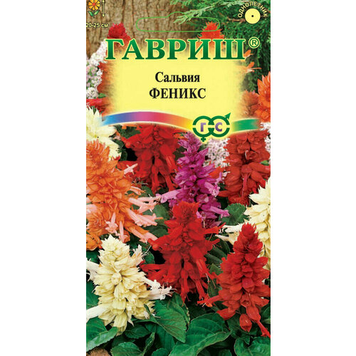 ���� ������ ������� ������, �����, 0,05�, ������, ��������� ���������, ������ �� 62 ���