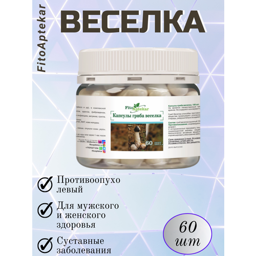 ���� ���� ������� � �������� 60 ��., ������ �� 1240 ���