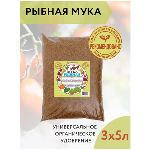 ���� ����������� ���������� ��������� ��� �������� ������ ���� 5 �, 3 ��, ������ �� 1684 ���