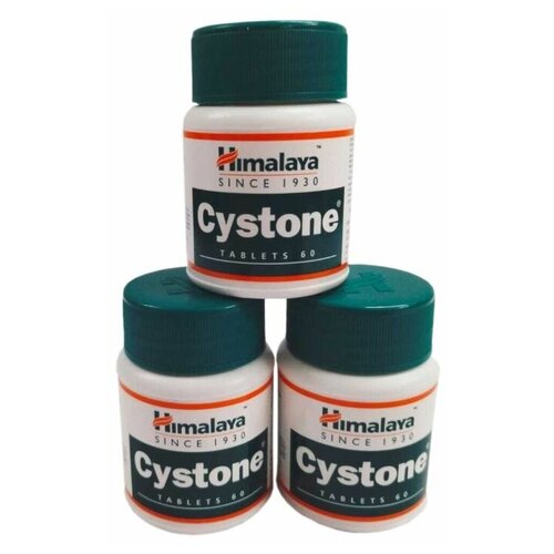 ���� AYURVED-Cyston ��� ������. ����������� �������, ������ �� 1550 ���