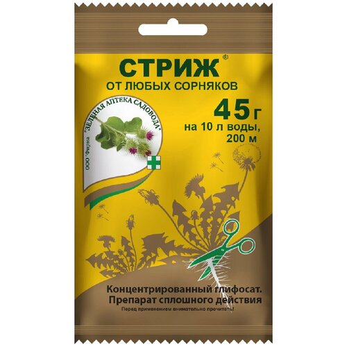 ���� �����, ��� �� ����� �������� 45 �����, ������ �� 589 ���