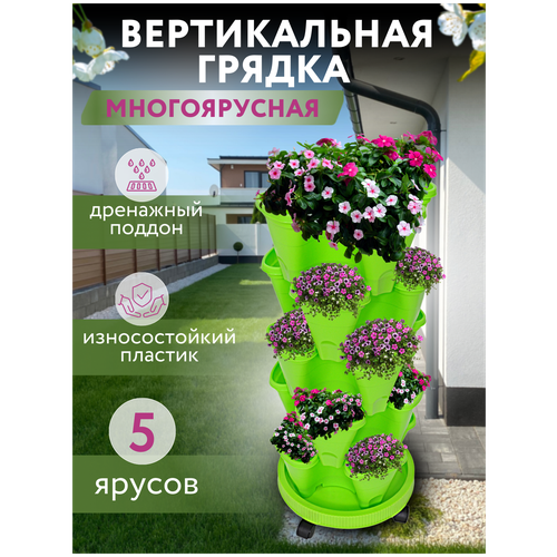 ���� ������������ ������- ����� ��������� ������������ 3 �������� ��� ������, ����, ���� � ������ ��������, ������ �� 3800 ���