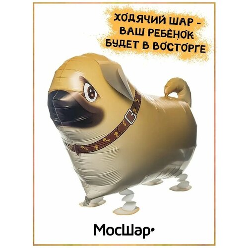 ���� ��������� ��� ������� ������ ������ ����, ������ �� 307 ���