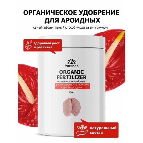     ,     Purshat 700 ,   707 