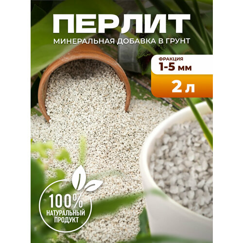    ,     2  InHome Green,   531 