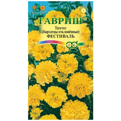 ���� ������. �������� ����������� 