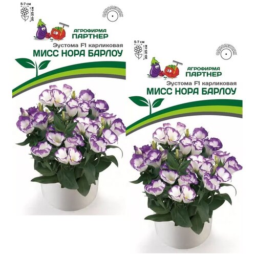        F1 / / 2   5 ,   520 